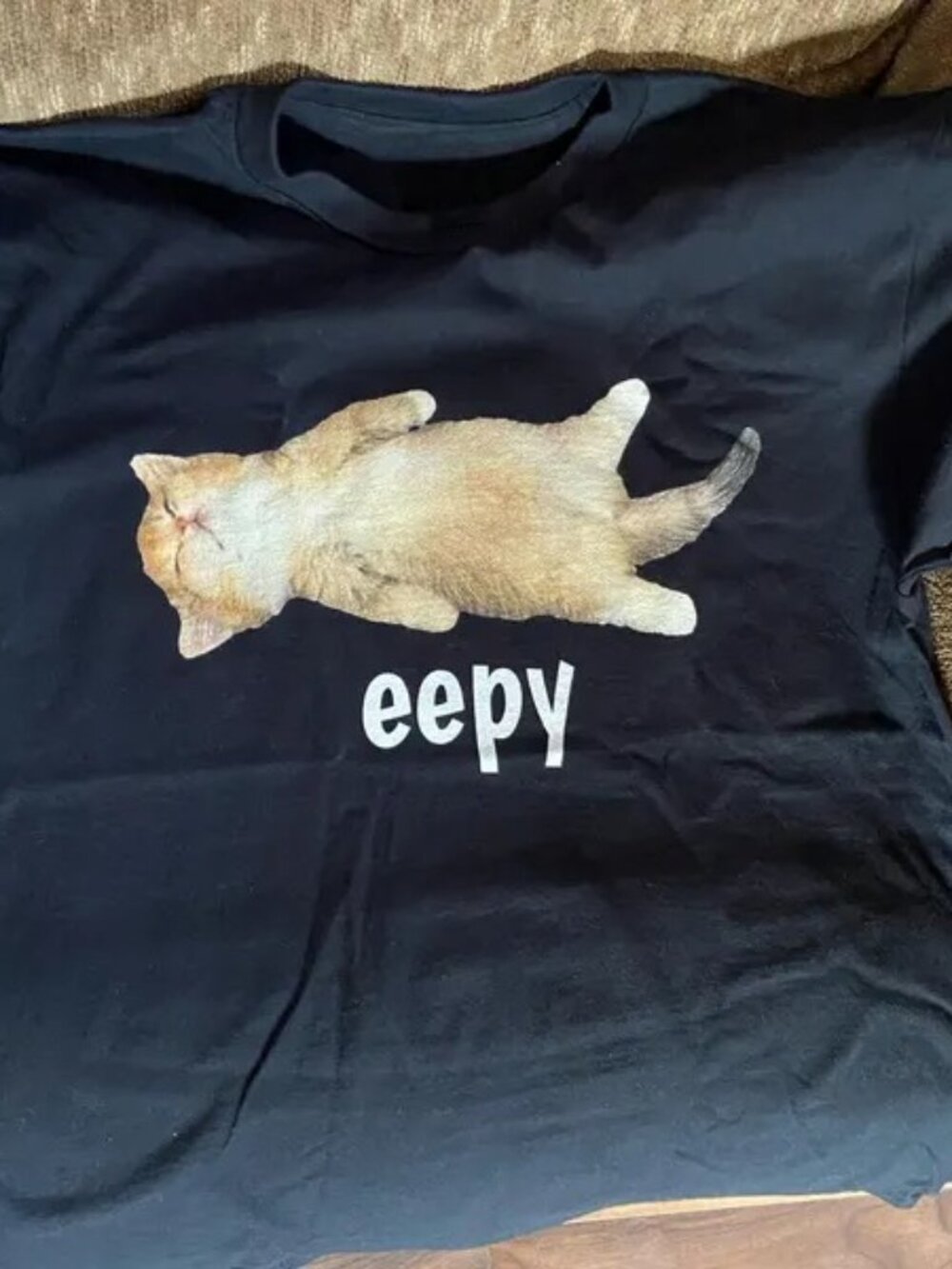 Eepy Cat T-Shirt, Silly Sleepy Cat T-Shirt